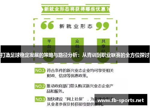 打造足球稳定发展的策略与路径分析：从青训到职业联赛的全方位探讨